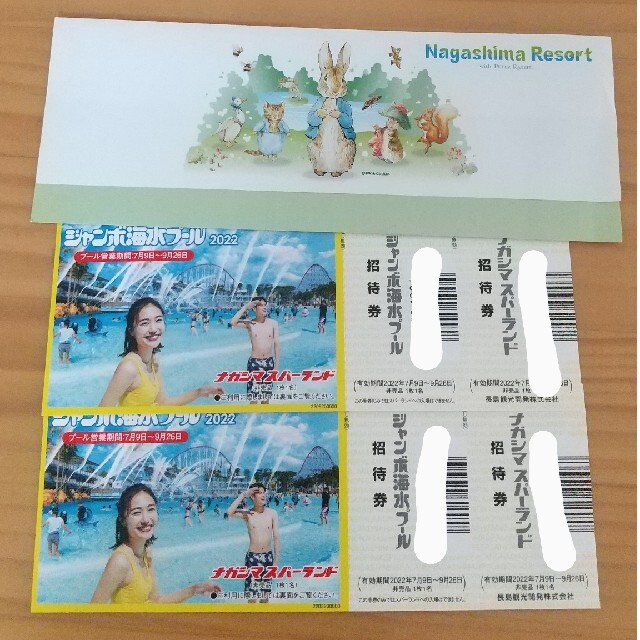 再入荷新品】 長島ジャンボ海水プール 大人4枚 2枚も販売可の通販 by