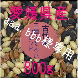 aaa.bbb様専用 古代米3種ふぞろいブレンド　愛媛県産　800ｇ×２(米/穀物)