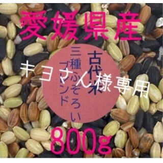 キヨさん様専用　古代米3種ふぞろいブレンド　愛媛県産　800ｇ(米/穀物)