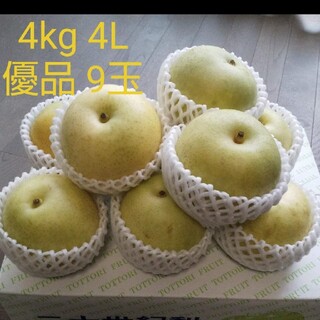ニ十世紀梨 家庭用 4kg 4L 鳥取県産 9玉 優品　20世紀梨　大玉(フルーツ)