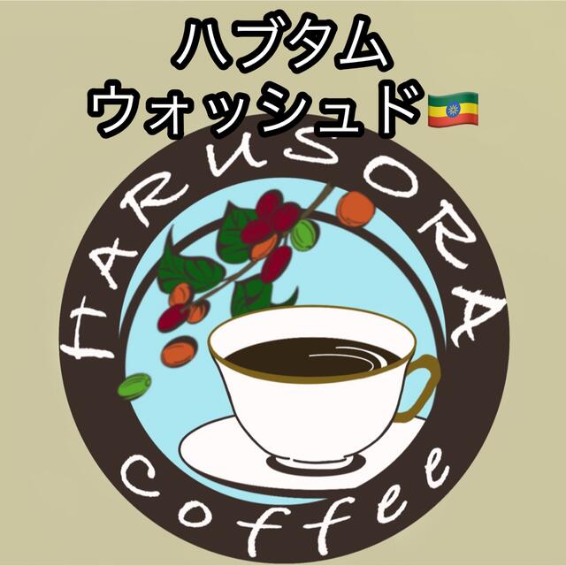 ハブタム ウォッシュド🇪🇹 200g 自家焙煎珈琲 エチオピア ガルテンビ 食品/飲料/酒の飲料(コーヒー)の商品写真