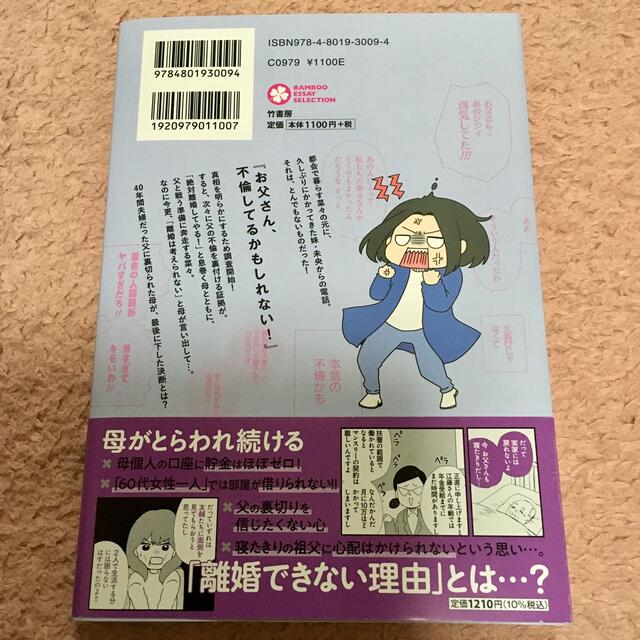 熟年不倫サレ母は今日も離婚に踏み切れない エンタメ/ホビーの本(文学/小説)の商品写真