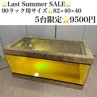 爬虫類ケージ　5台限定SALE⭐️90ラック用サイズ(爬虫類/両生類用品)