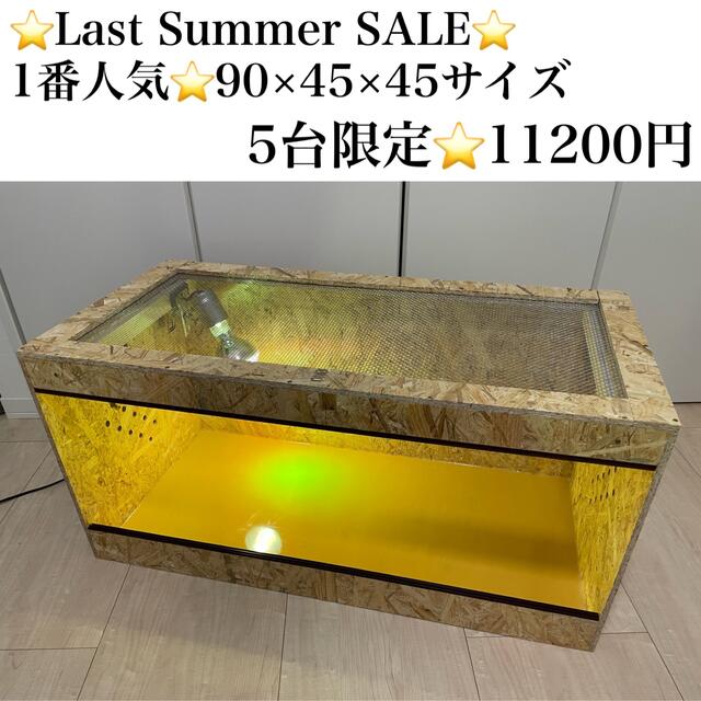 爬虫類ケージ　5台限定SALE⭐️90×45×45サイズ