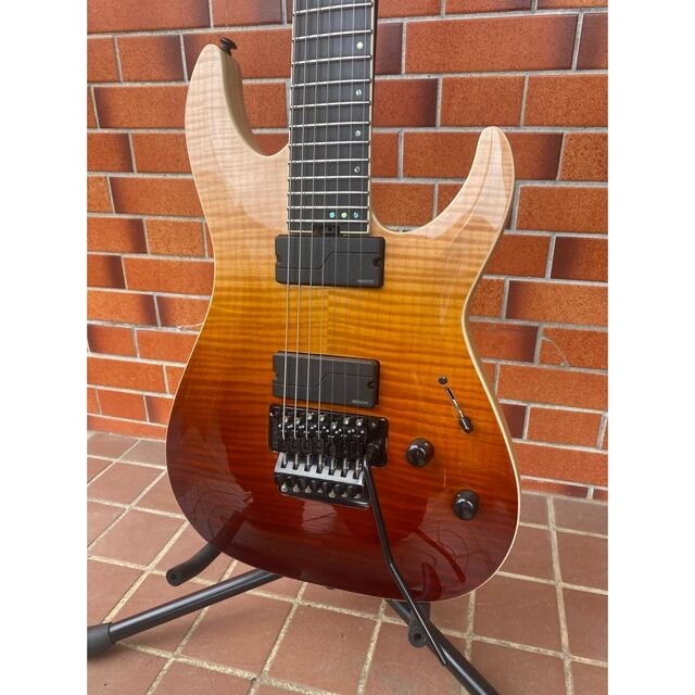 限定販売】 SCHECTER(シェクター) C-7 FR SLS Elite 7弦ギター