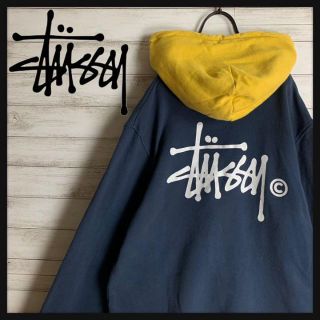 ステューシー(STUSSY)の【超希少カラー】 STUSSY パーカー バックロゴ 入手困難 ツートン(パーカー)