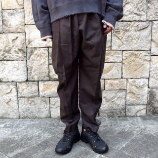 シュタイン(stein)のstein EX Wide Tapered Trousers(スラックス)