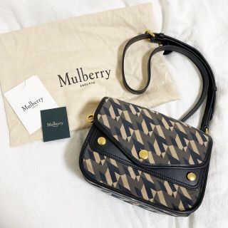 マルベリー(Mulberry)の限定最終価格 mulberry バッグ Mコレクション(ショルダーバッグ)