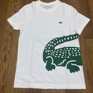 ラコステ(LACOSTE)のラコステ　レギュラーフィット オーバーサイズワニプリントクルーネックTシャツ(Tシャツ/カットソー(半袖/袖なし))