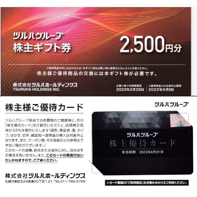 ツルハ　株主優待　ツルハドラッグ　2セット　500円分とカード2枚 1