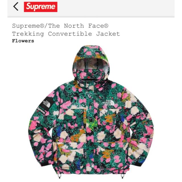 Supreme×THE NOTH FACE マウンテンパーカー ブラック L