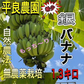 無農薬　銀バナナ　1.3キロ　平良農園　沖縄(フルーツ)