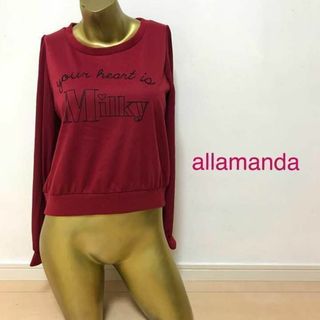 アラマンダ(allamanda)の【0356】allamanda 袖シースルー トレーナー 38 M レッド(ニット/セーター)