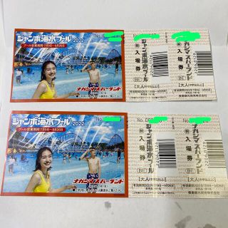 ナガシマスパーランド　3枚8100円　長スパ　プール2枚で5400円計5枚有(プール)