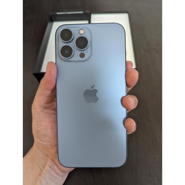 特典あり 極美品 iPhone13Pro 海外SIMフリー シャッター音なし 特典あり 極美品 iPhone13Pro 海外SIMフリー シャッター音なし
