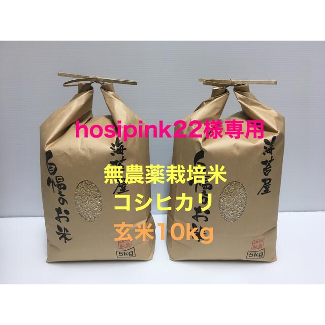 hosipink22様専用 無農薬コシヒカリ玄米10kg(5kg×2)令和3年産の通販 by U-KO's shop｜ラクマ