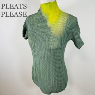 プリーツプリーズイッセイミヤケ(PLEATS PLEASE ISSEY MIYAKE)の極美品 イッセイミヤケ 半袖シャツ カットソー グラデーション 横プリーツ(Tシャツ(半袖/袖なし))