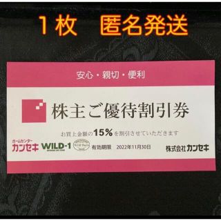 スノーピーク(Snow Peak)のカンセキ優待割引券  有効期限2022/11/30    1枚(その他)