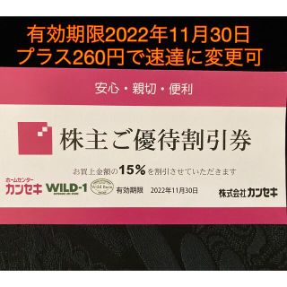 スノーピーク(Snow Peak)のカンセキ優待割引券  有効期限2022/11/30    1枚(その他)