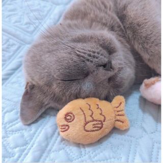 【新品】 ねこおもちゃ キャットニップ 韓国 海外 ぬいぐるみ 魚 たい焼き(ぬいぐるみ)