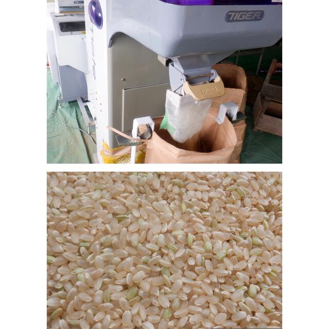 減農薬米　令和4年新米三重県コシヒカリ　玄米２０キロ   10kg×2袋 送料込