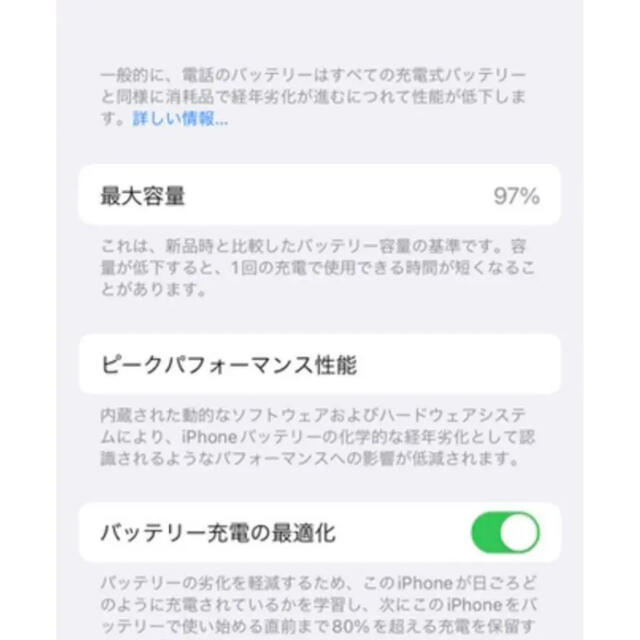 iPhone 13 Pro シエラブルー 256 GB SIMフリー 9