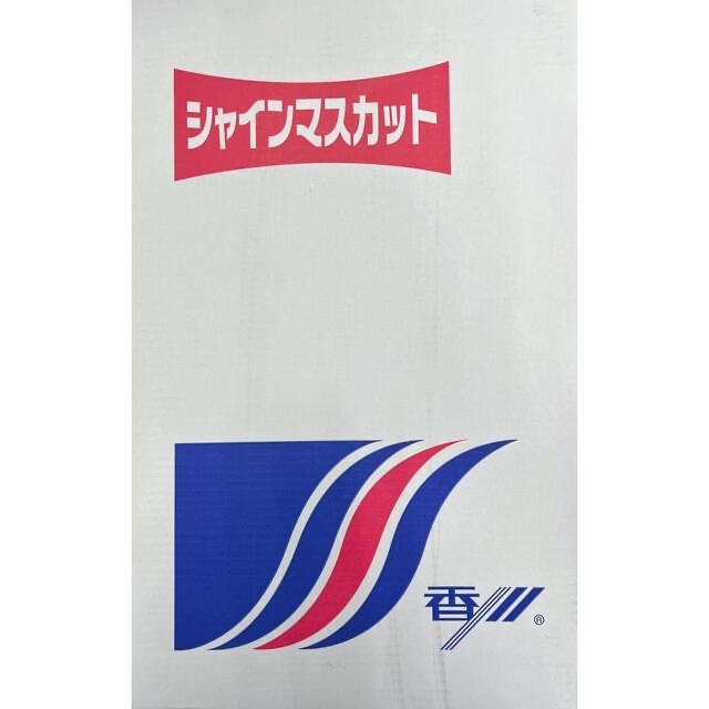 早い者勝ち！！衝撃価格！！【シャインマスカット】秀品6房 5〜6kg！！ 食品/飲料/酒の食品(フルーツ)の商品写真