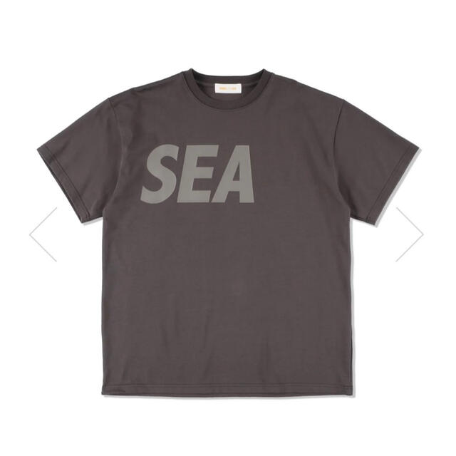 Tシャツ/カットソー(半袖/袖なし)SEA (IRIDESCENT) T-SHIRT﻿ Lサイズ