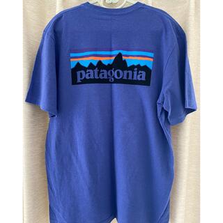 パタゴニア(patagonia)のpatagonia パタゴニア　半袖tシャツ(Tシャツ/カットソー(半袖/袖なし))