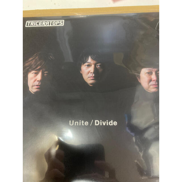 TRICERATOPS Unite/Divide タワーレコード限定 LP 新品