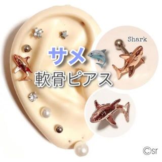 リアルシャーク サメの軟骨ピアス　①(ピアス)