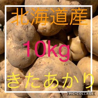 北海道産訳ありじゃがいもキタアカリ10kg(野菜)