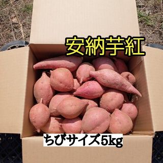 安納芋紅ちびサイズ5㌔箱(種子島産)(野菜)