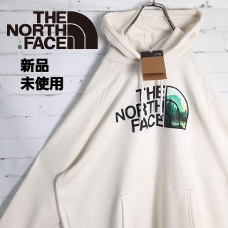 ノースフェイス(THE NORTH FACE) クリームの通販 300点以上 | ザノース ...