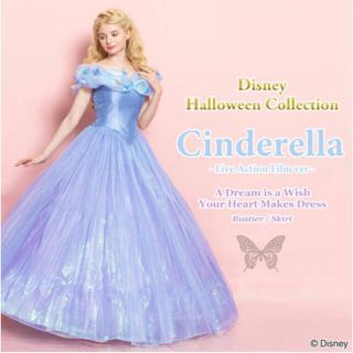 シークレットハニー シンデレラ 衣装の通販 44点 | Secret Honeyの ...
