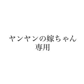 ヤンヤンの嫁ちゃん 専用(その他)