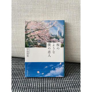 桜のような僕の恋人(文学/小説)