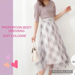 プロポーションボディドレッシング チュールスカート ロングスカート