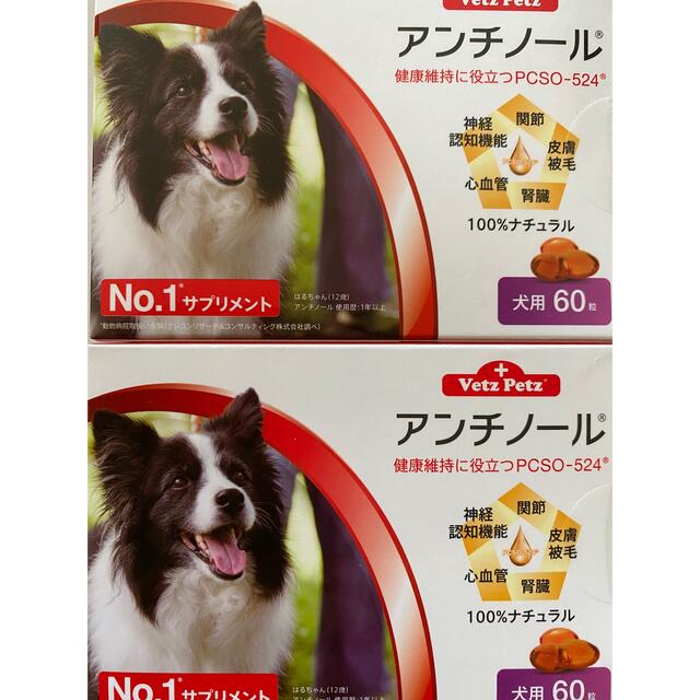 犬アンチノール60粒　2箱セット