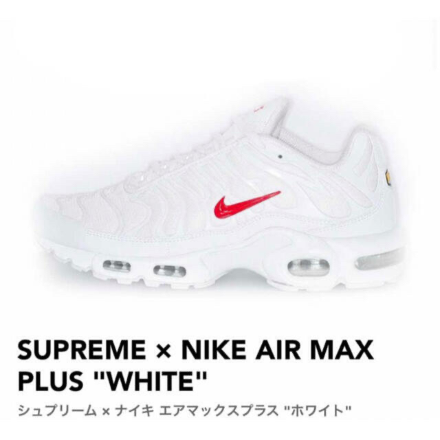 SUPREME × NIKE AIR MAX PLUS "WHITE" 28.5