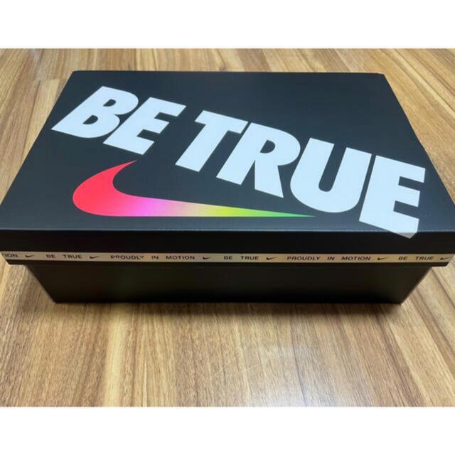 Nike SB Dunk Low "Be True" 4