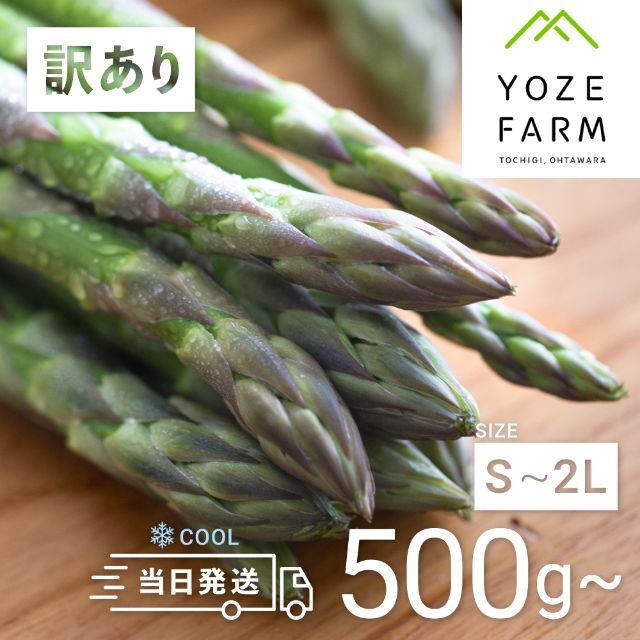 【訳あり品/クール便】那須の麓の朝採りアスパラガス　サイズいろいろ1 ,000g 食品/飲料/酒の食品(野菜)の商品写真