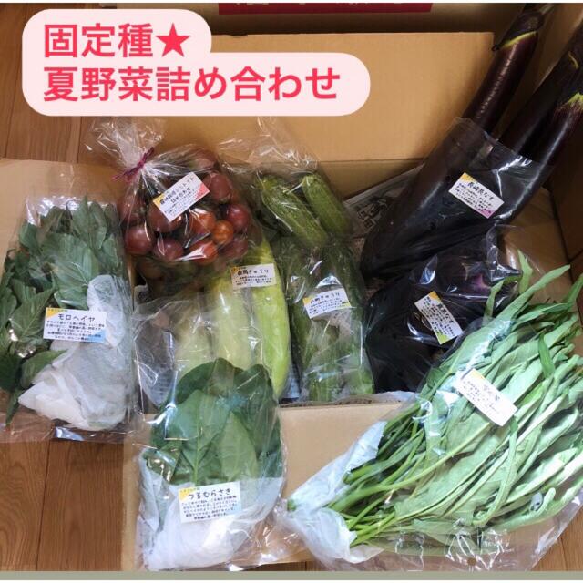 無農薬&固定種野菜セット★100cmサイズ★長野県産 食品/飲料/酒の食品(野菜)の商品写真