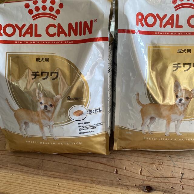 ご専用　チワワ成犬用ペット用品