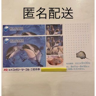 新江ノ島水族館　ご招待券(水族館)