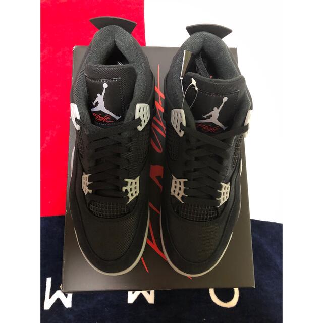 Air Jordan 4 SE Black and Light Steel