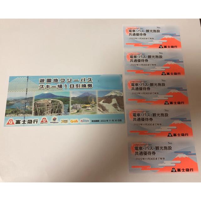 富士急ハイランド フリーパス 2枚 - www.husnususlu.com