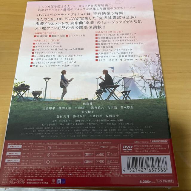 カノジョは嘘を愛しすぎてる　DVDスペシャル・エディション DVD