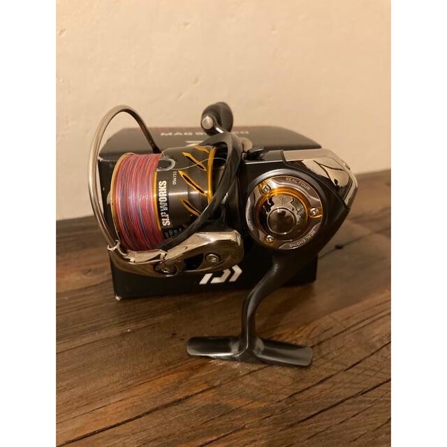 ダイワ 13セルテート 2506H 新古品 【日本産】 daytoursiniceland.is