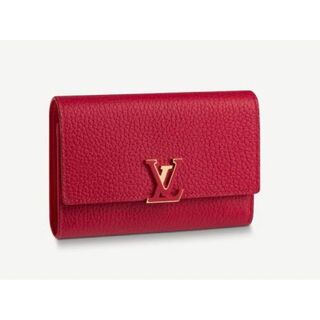 ルイヴィトン(LOUIS VUITTON)のLouis Vuitton 日本未入荷　 財布　ルイ・ヴィトン　折り財布(財布)